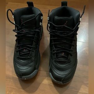 Air Jordan 12 retro